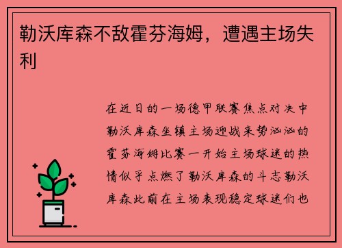 勒沃库森不敌霍芬海姆，遭遇主场失利